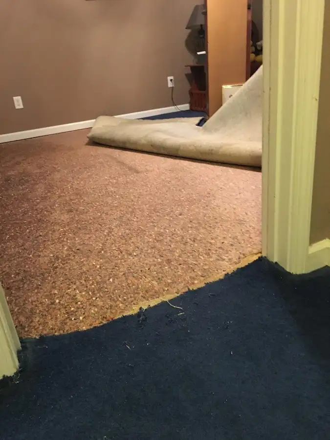 Carpet pad removal revealing water damage during Water Mitigation Services in West Slope